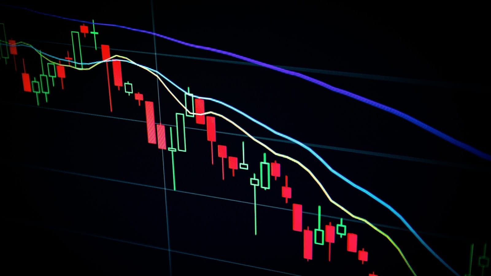 Notarios y Fintech: Puentes Digitales — Jornada 2026