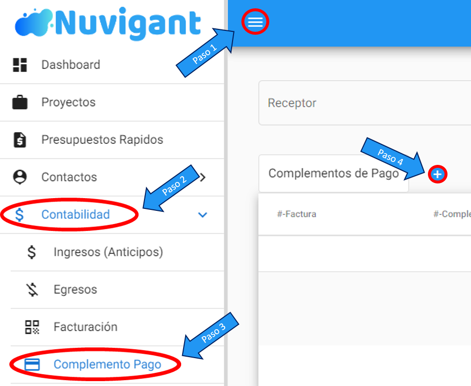Generar un solo cumplemento de pago para varias facturas