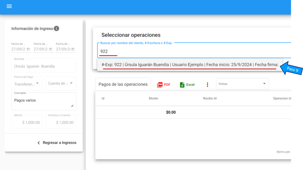 Registrar Ingresos Múltiples (4)