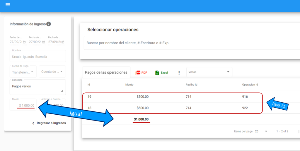 Registrar Ingresos Múltiples (6)