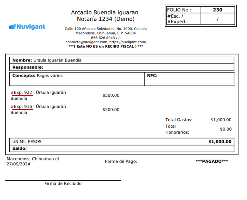 Registrar Ingresos Múltiples (8)